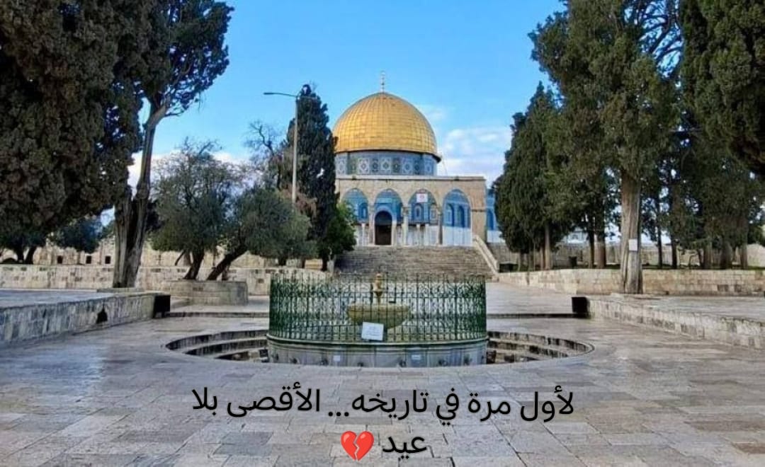 𝒜𝓁𝒾𝓏𝒶𝓈_𝒮 🌸 tweet media