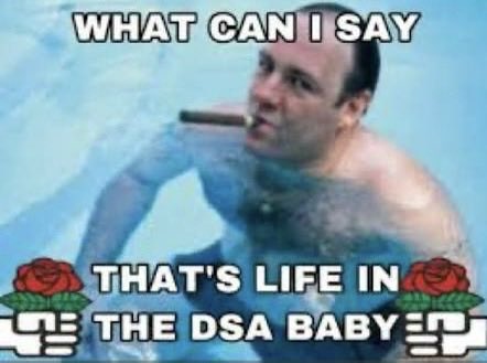 molly 🌹🌱🏳️⚧️ tweet media