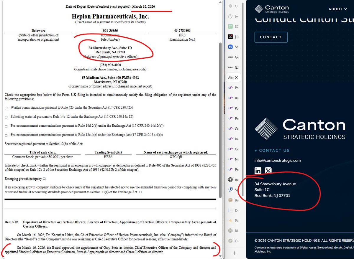 StockTrips tweet media