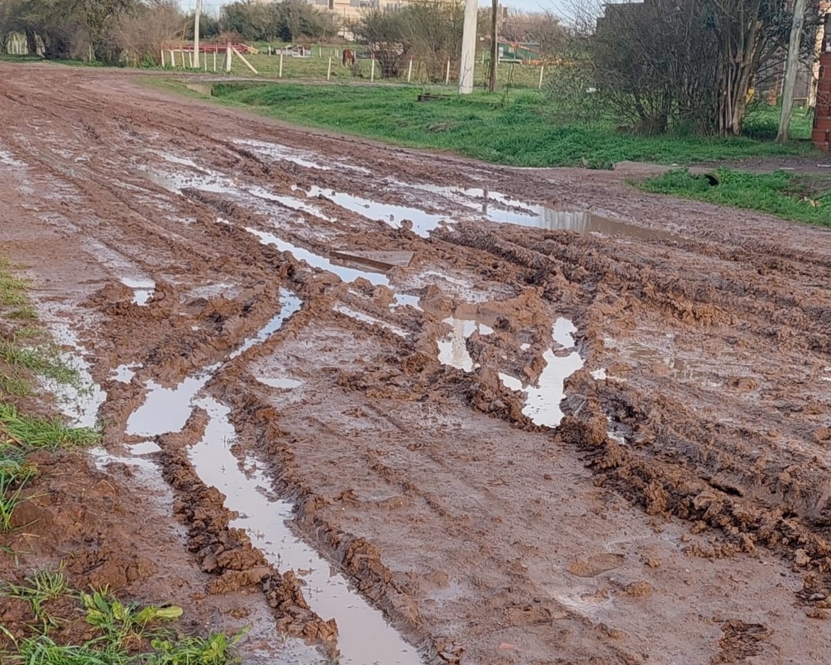 Meli🍉☭🇵🇾 tweet media