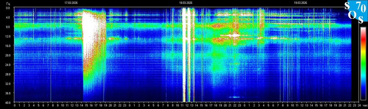 ConsciousCoachCoromoto tweet media