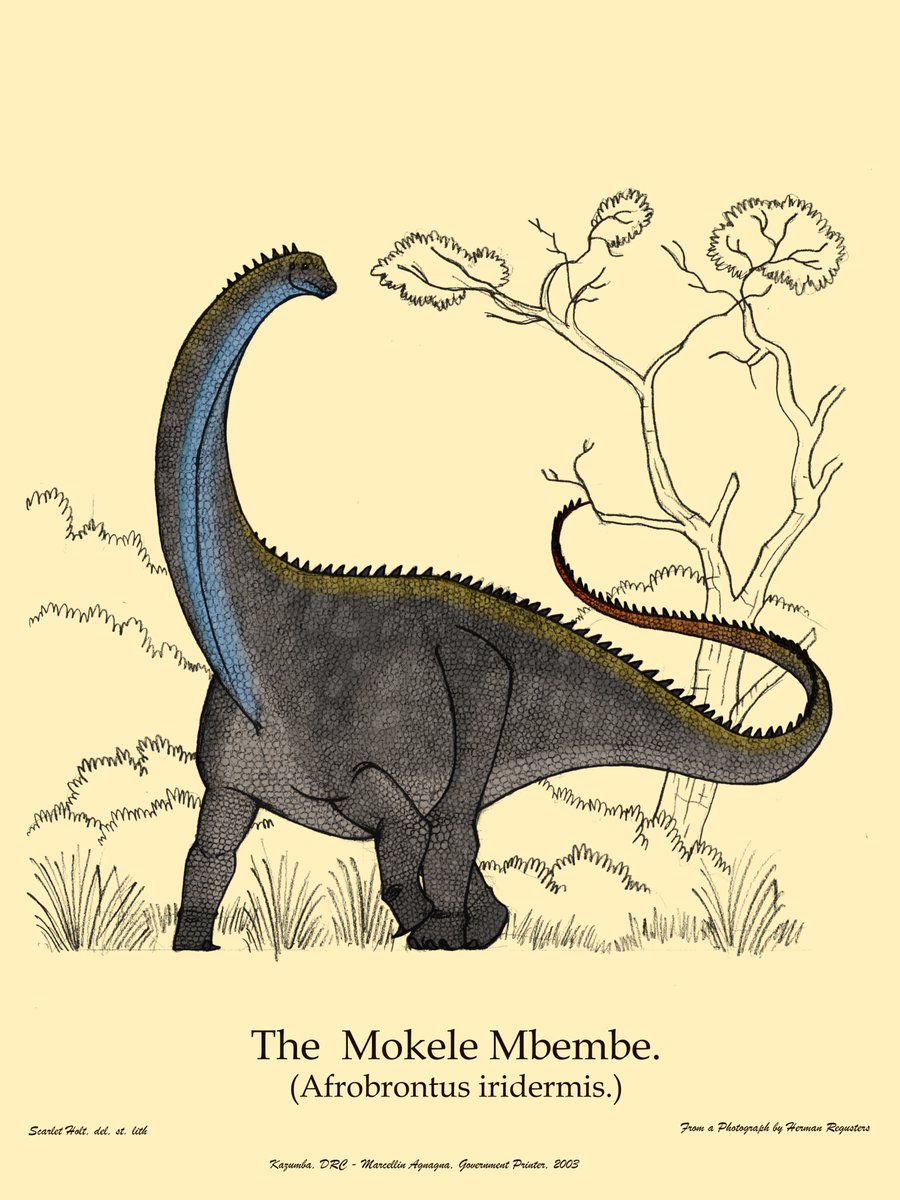 The Ropen tweet media