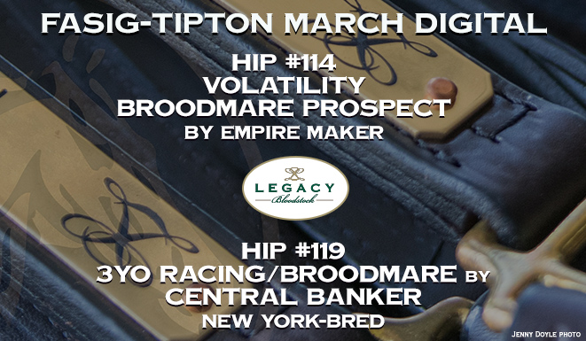 legacybloodstoc's tweet image. 🚨 Bidding is NOW open on our @FasigTiptonCo Digital March #LegacyBuilders 🏇🏆
🟨🟩
📰 🎥 &amp;amp; to bid - bit.ly/LegacyFTMARDIG…