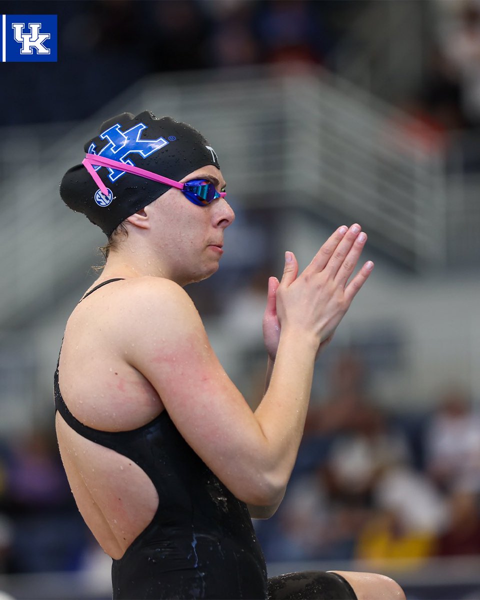 Kentucky Swim & Dive tweet media