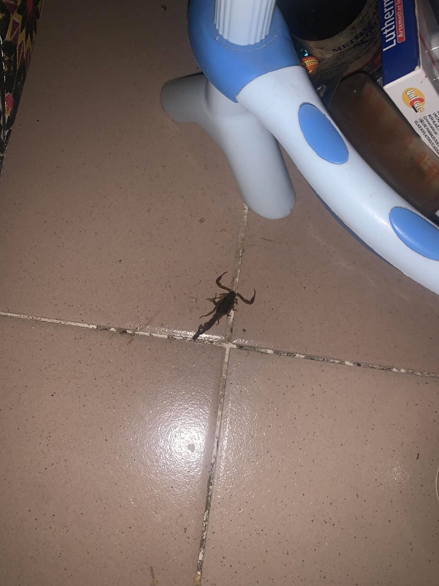 BAMIDELE🕊 tweet media