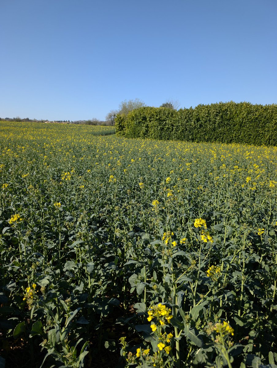 Astrid MORDON tweet media