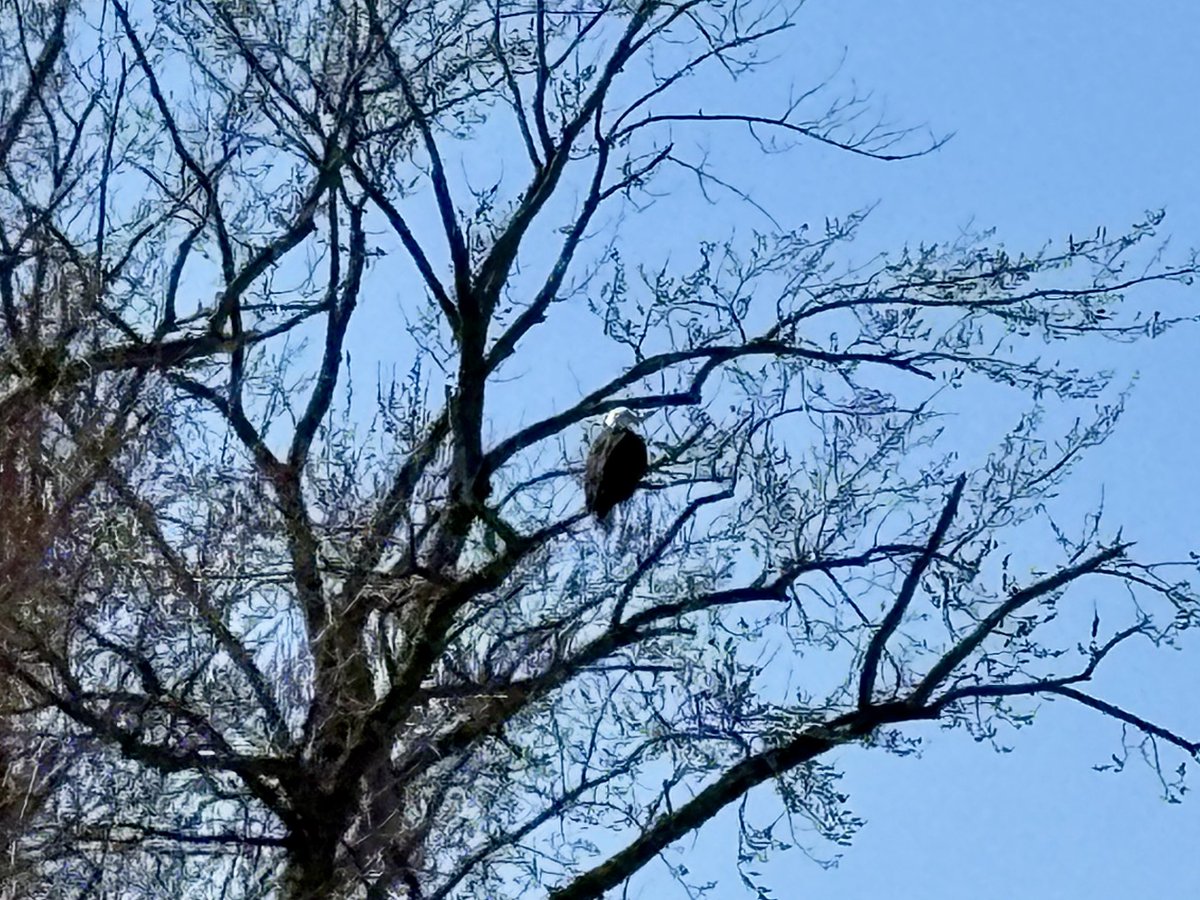 Kathleen tweet media