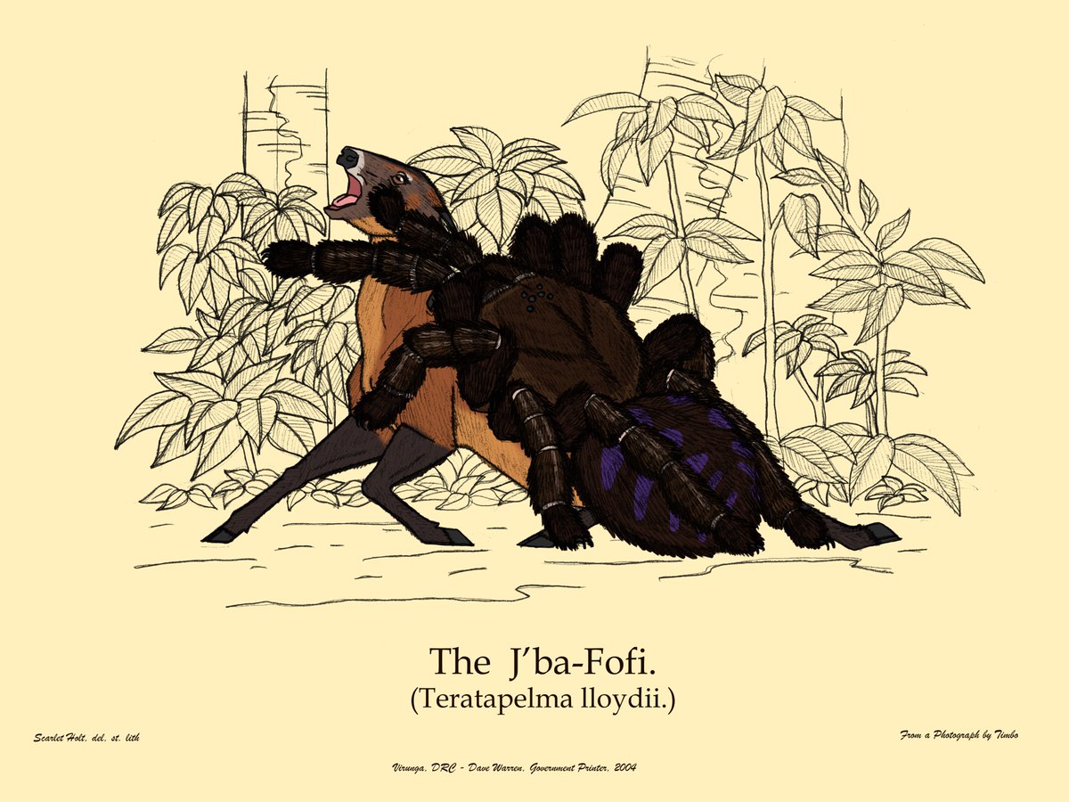 The Ropen tweet media