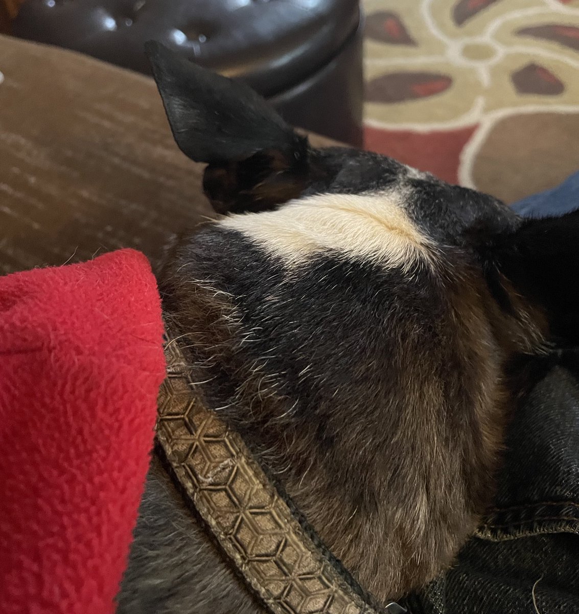 Grandpa Moon ✨ tweet media