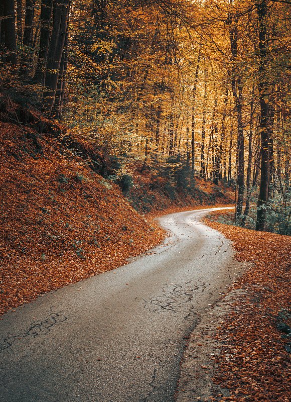 Eduardo RH tweet media