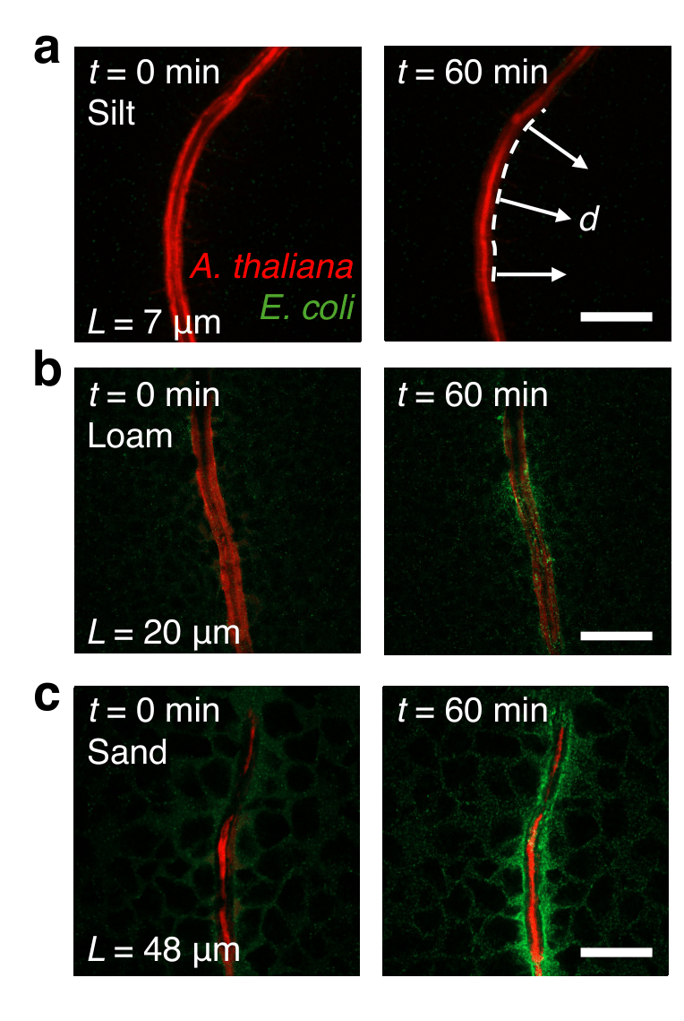 PRX Life tweet media