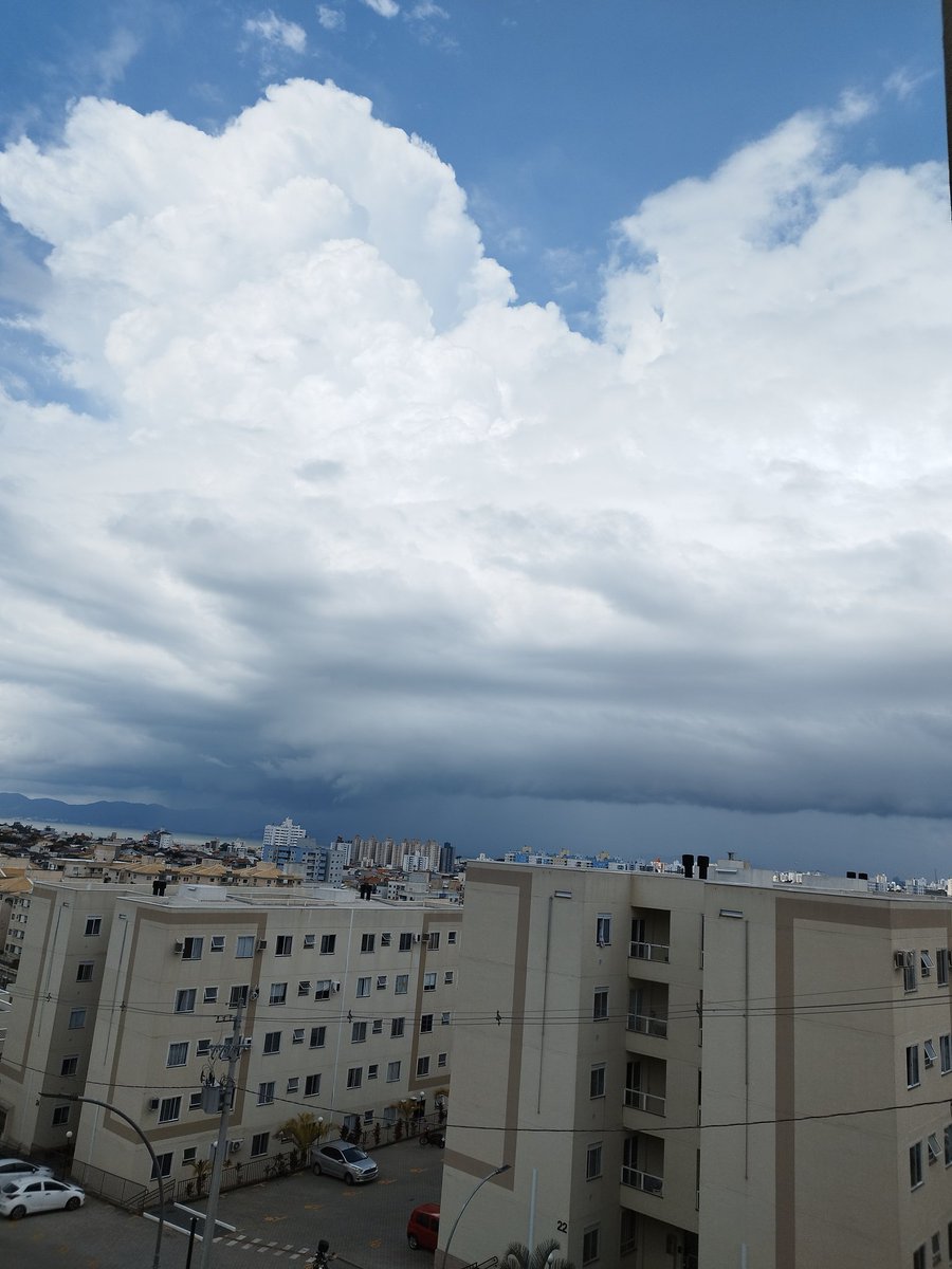 Mario Neto tweet media