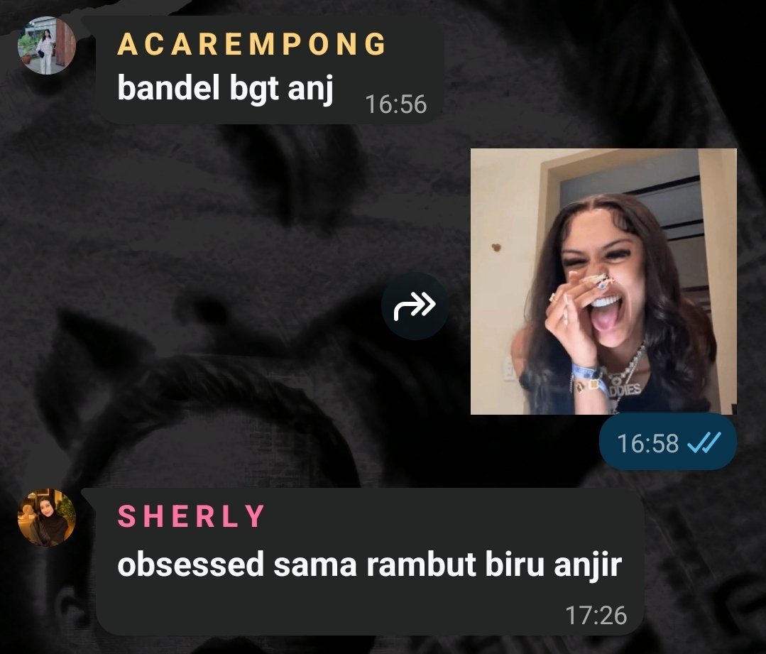 stubborn tweet media