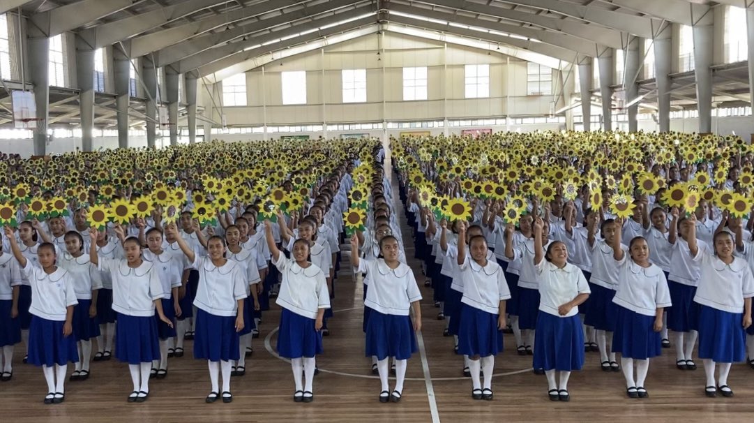 Patrick Herman tweet media