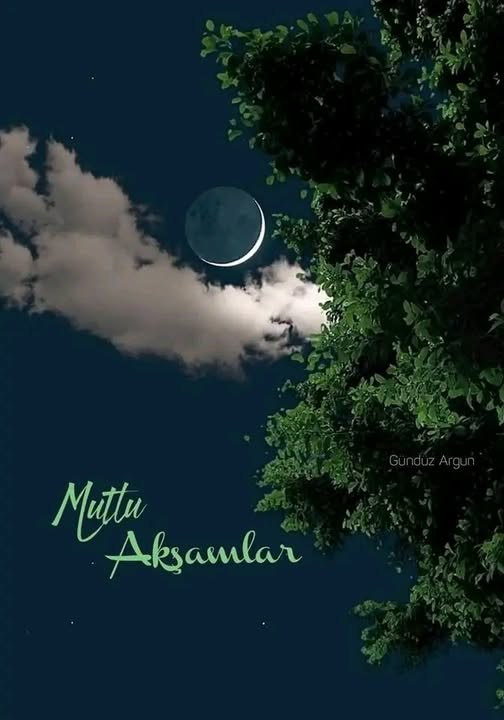 DENİZ_TOPRAK2 tweet media