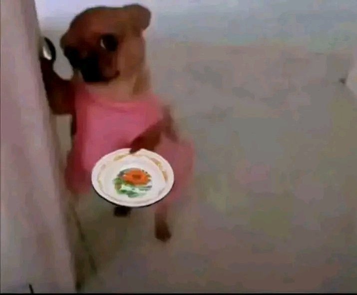 SIRRILLAH tweet media