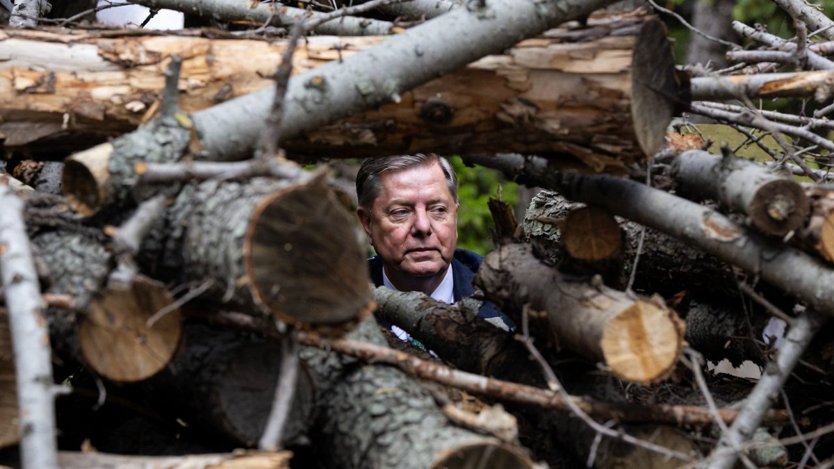 Republic Apostle tweet media