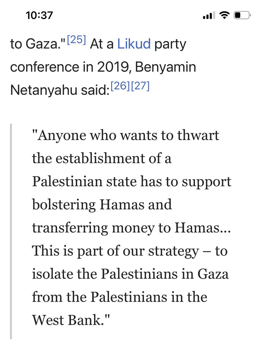 LuluTheLogical🍉 tweet media