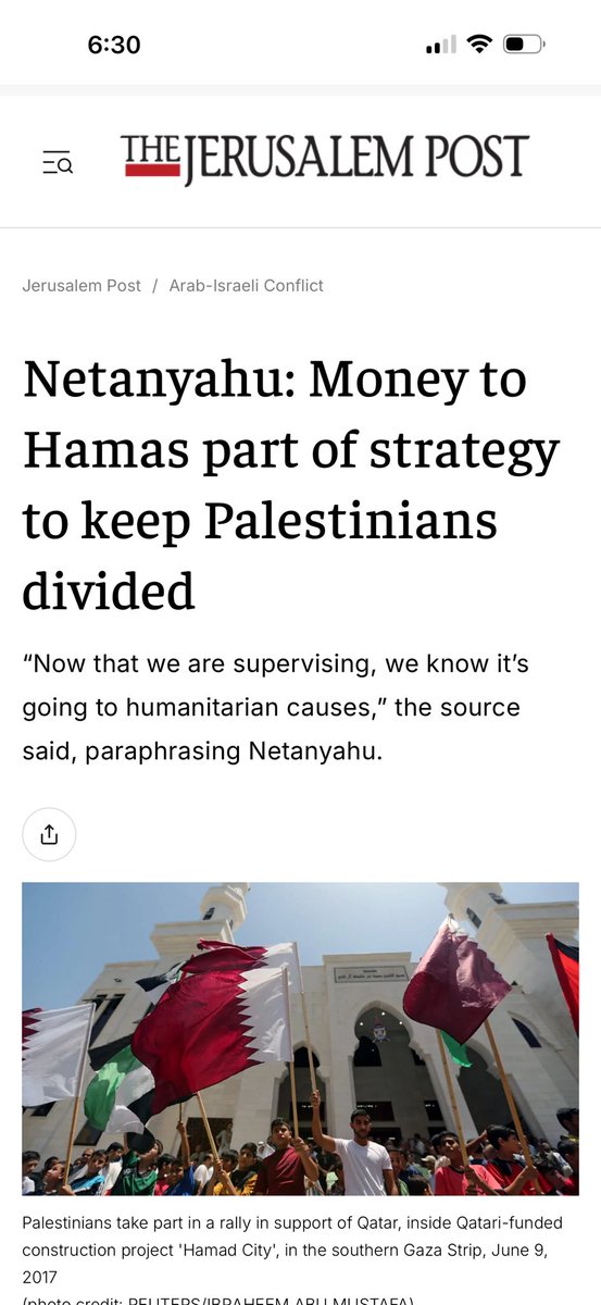 LuluTheLogical🍉 tweet media