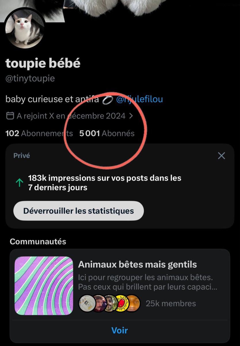 toupie bébé tweet media