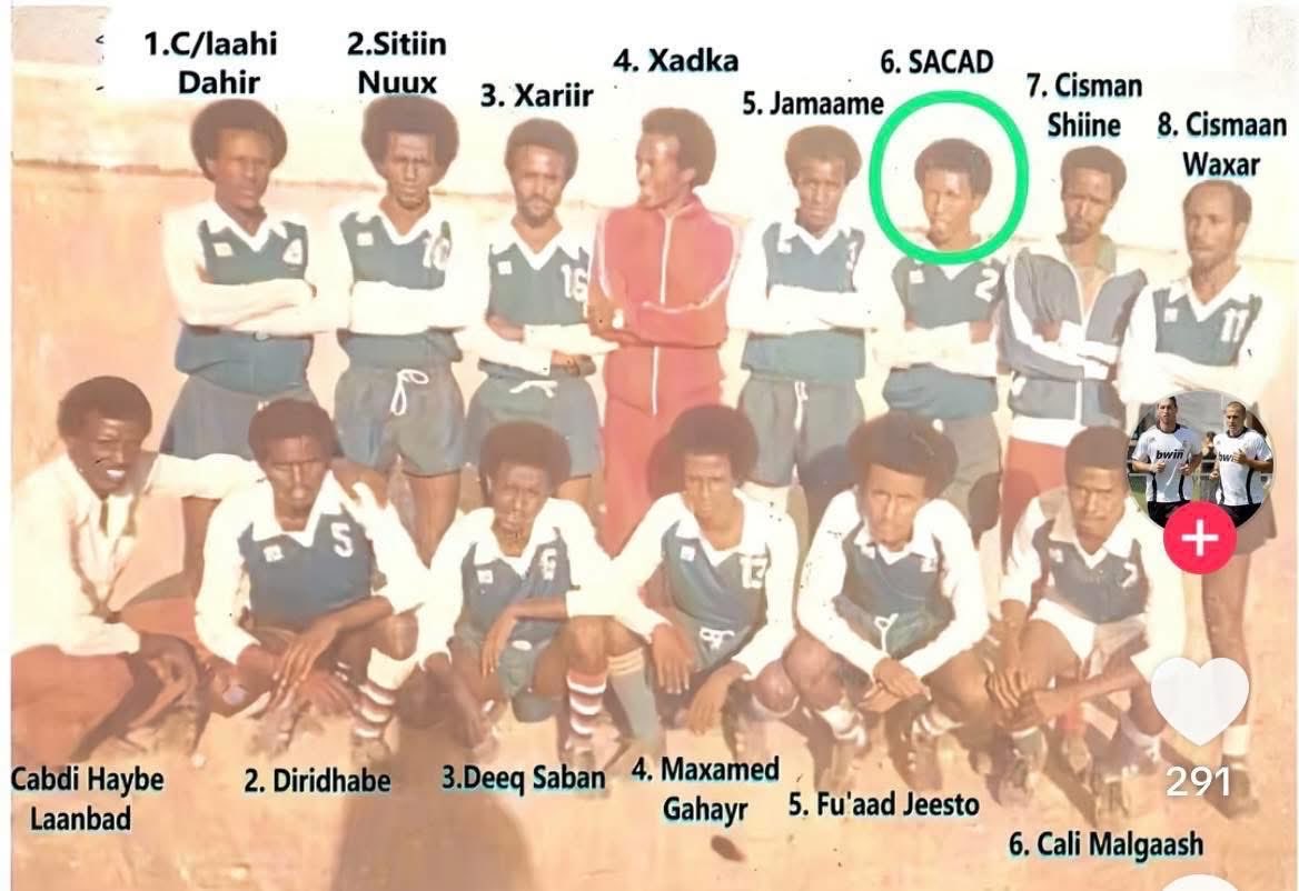 JSL ARCHIVE tweet media