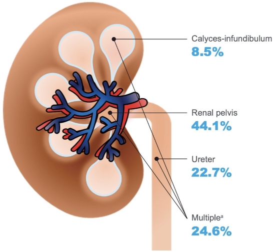 UroToday.com tweet media