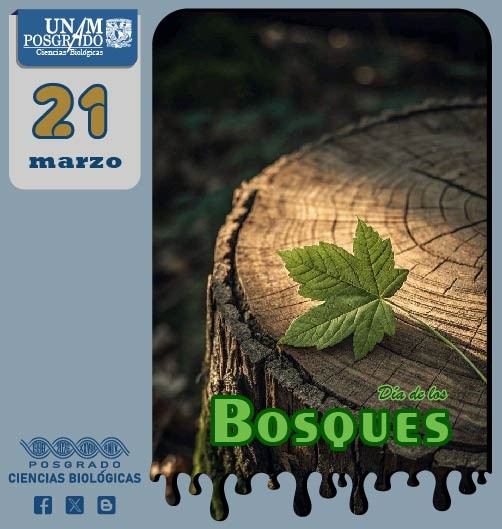 CIENCIAS BIOLOGICAS tweet media