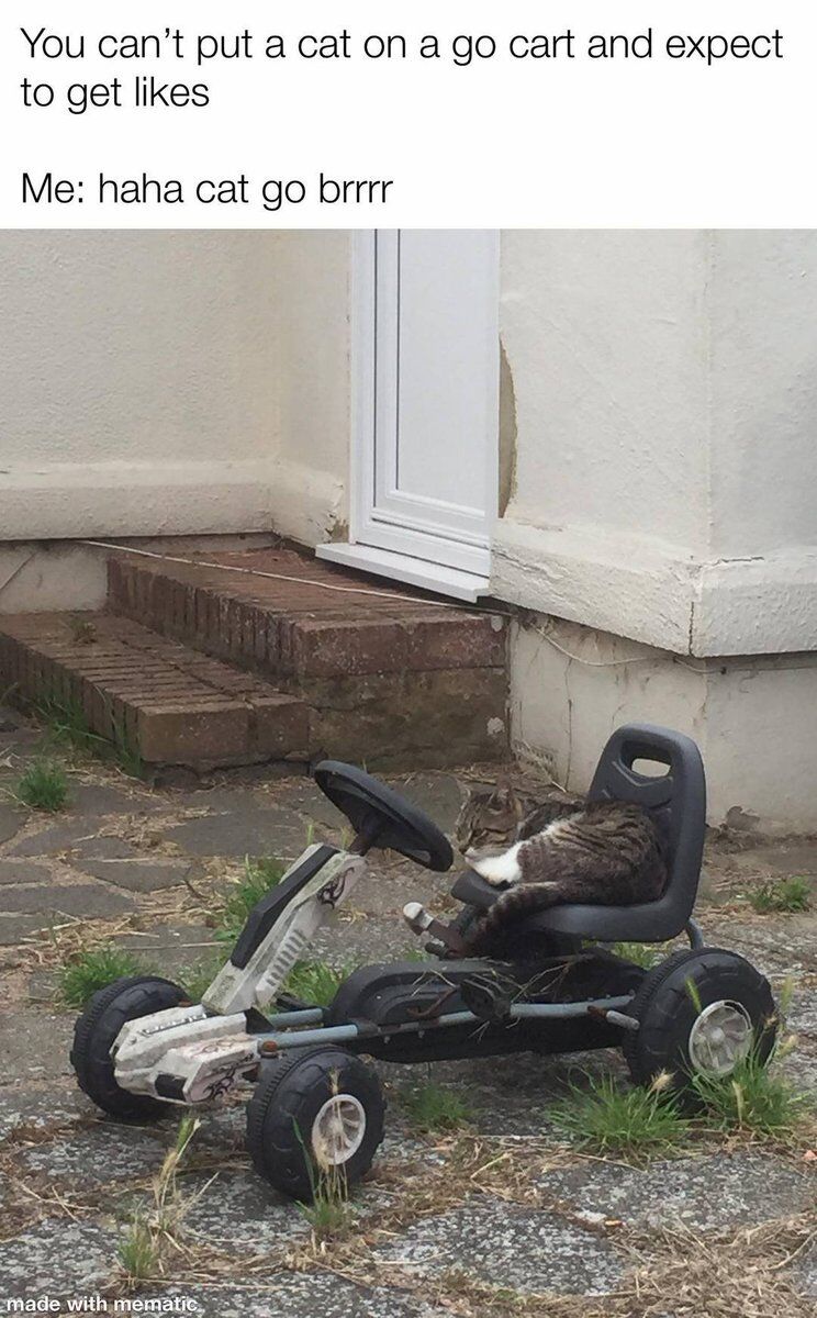 WholesomeMemes tweet media