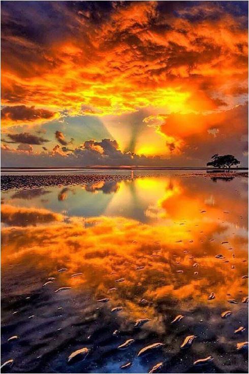 Ⓜ️ⒶⓇⒸ tweet media