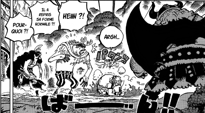 Raftel hill tweet media