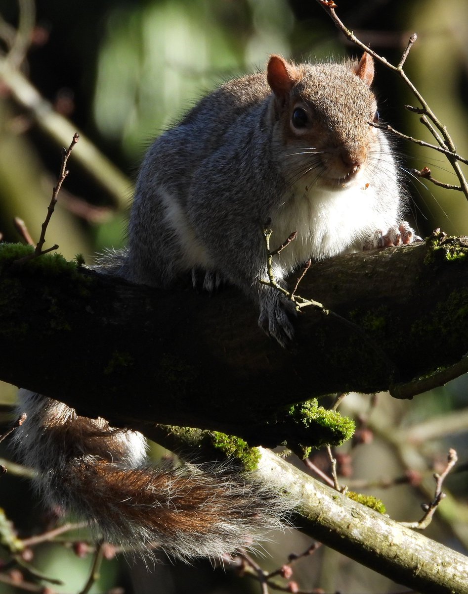 Bwarropics tweet media