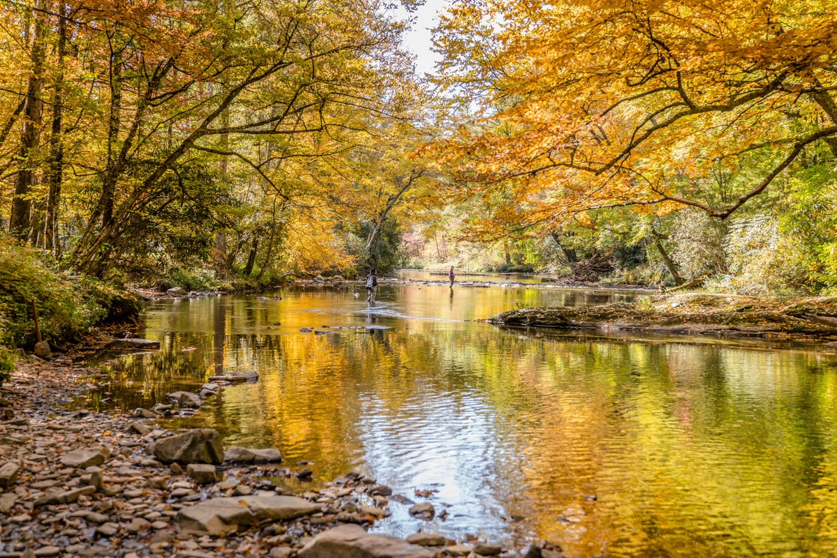 The Fly Fishing Place tweet media