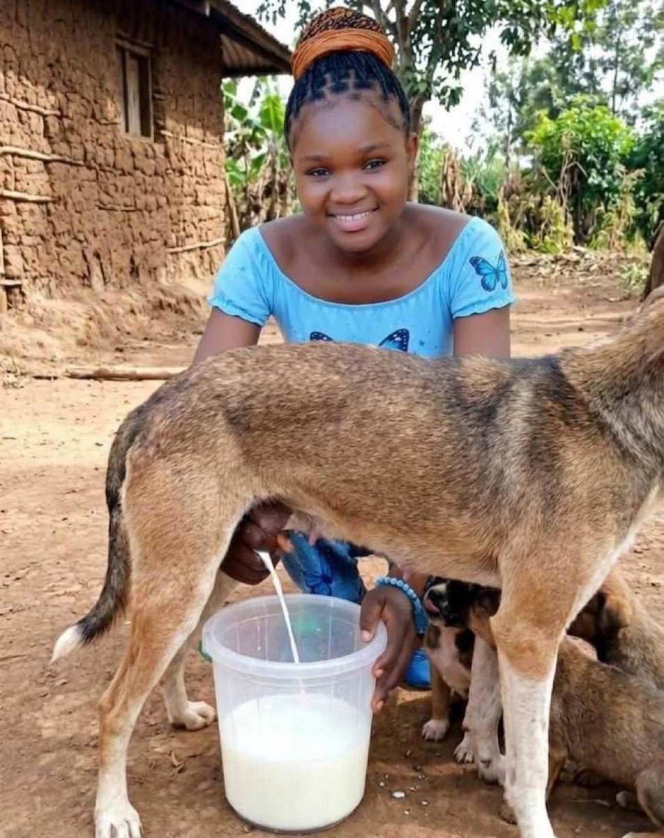 Truth WatchDog🇹🇿 tweet media