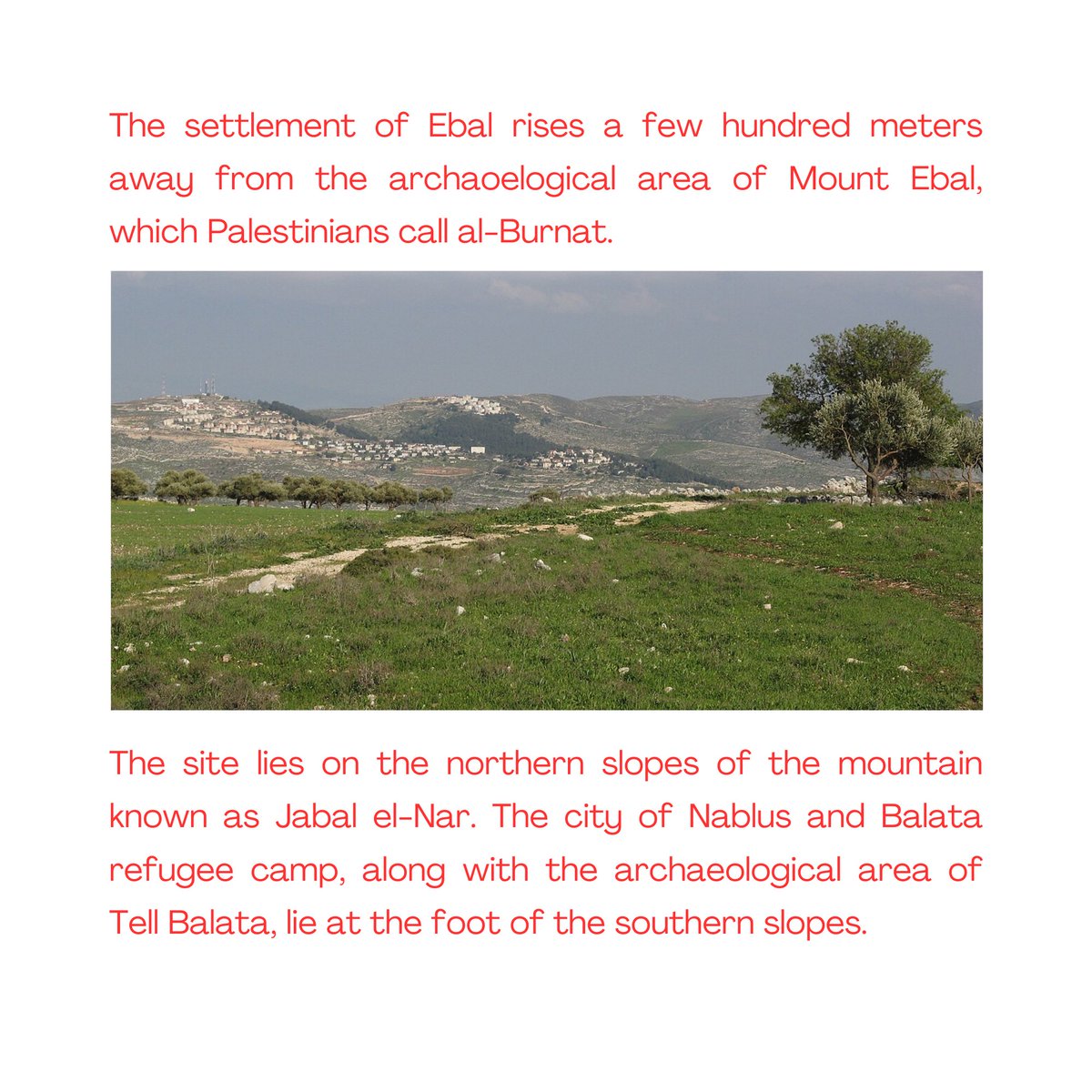 Archaeologists Against Apartheid tweet media