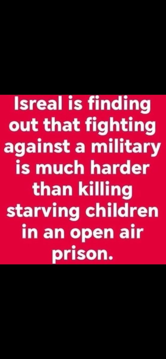 zbiblou04 tweet media