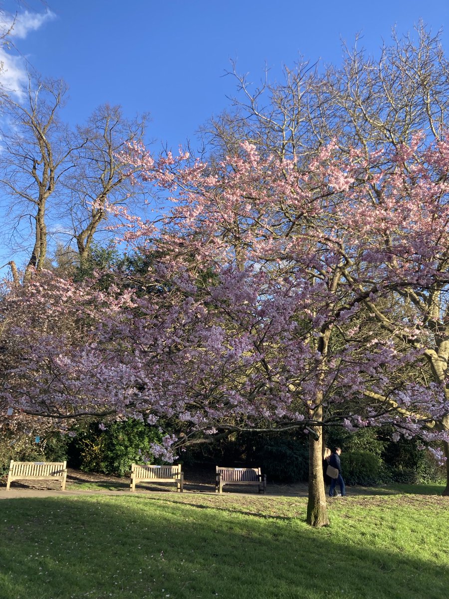 Waterlow Park tweet media