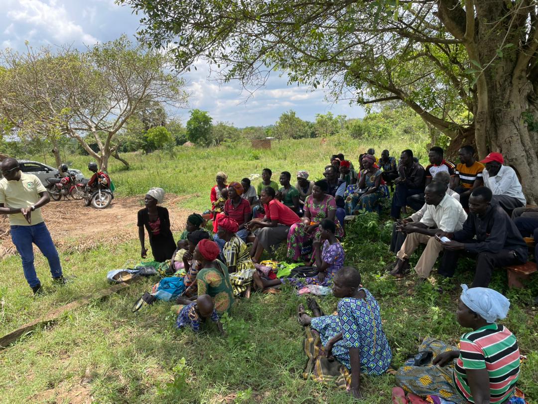 Gordon's Agricultural Organization-Uganda (GAO-UG) tweet media