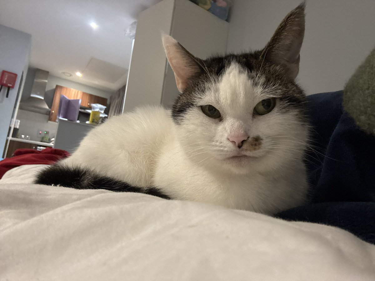 blue🩵 tweet media