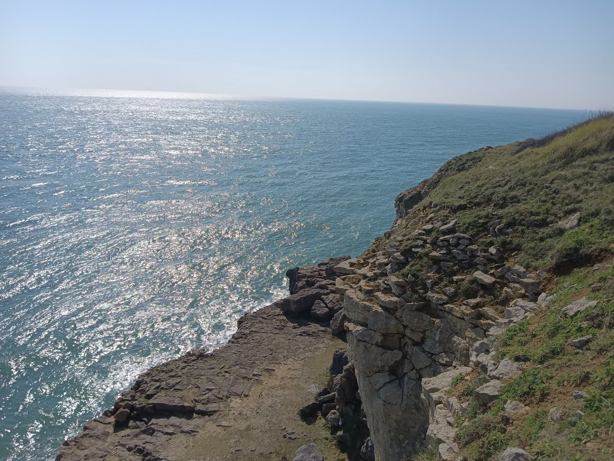 #PostedInThePast | Helen Baggott tweet media