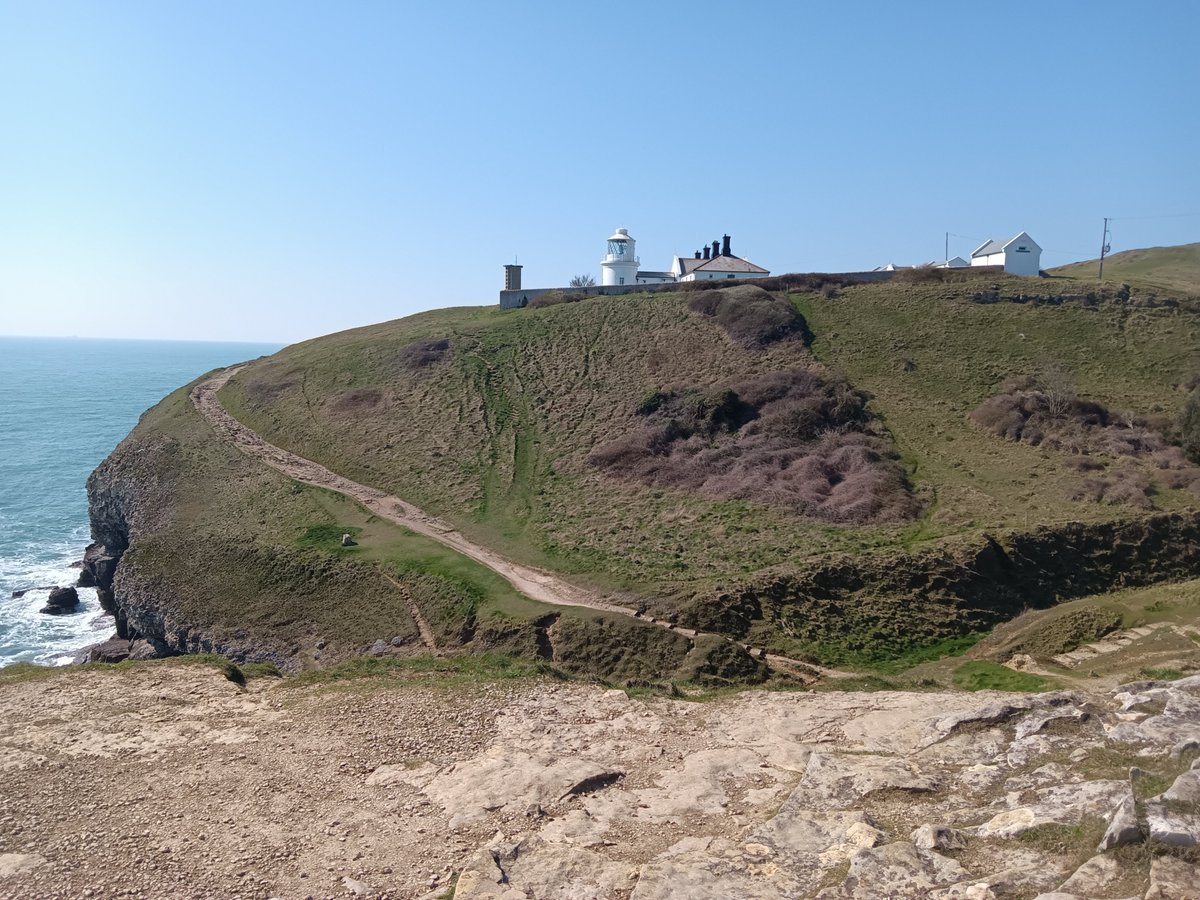 #PostedInThePast | Helen Baggott tweet media