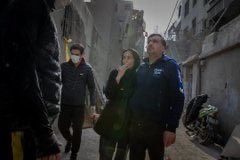 Fräulein Woolf tweet media