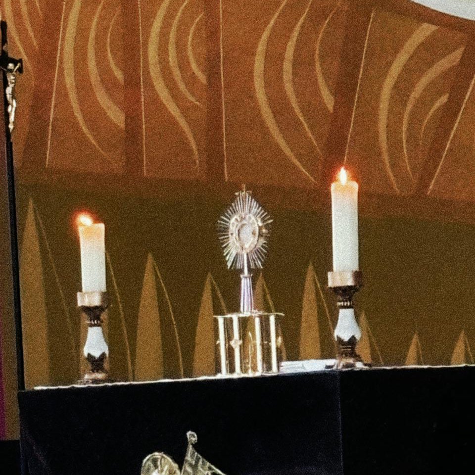 𝖎𝖑𝖚𝖒𝖎𝖓𝖆𝖉𝖔 ☼ 🇻🇦 tweet media