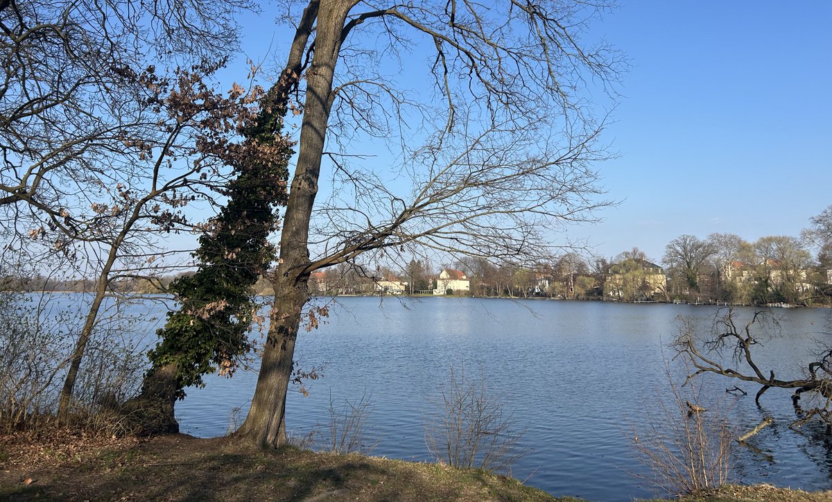 lucy ౨ৎ tweet media