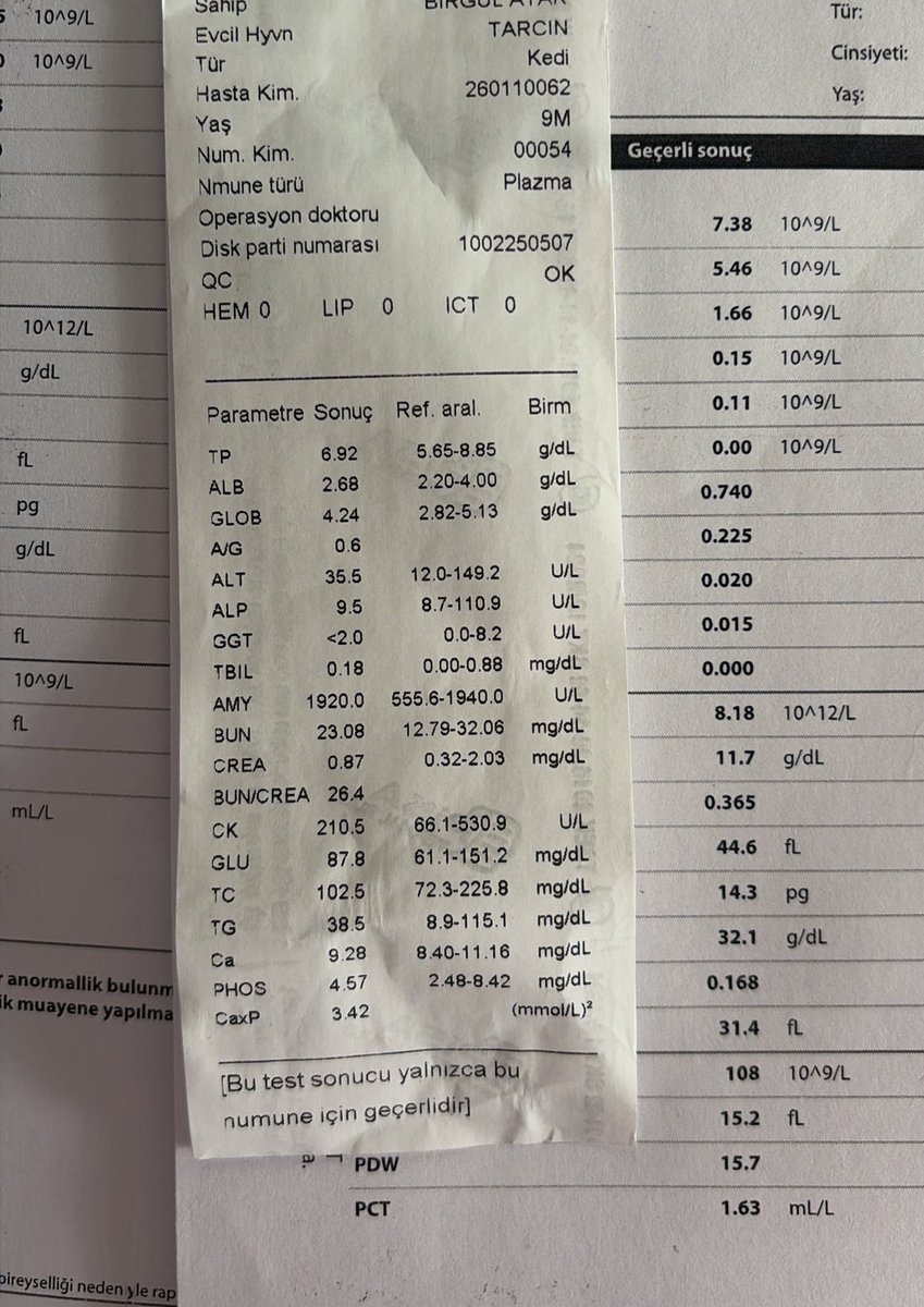 Badem & Tarçın 🍯 tweet media