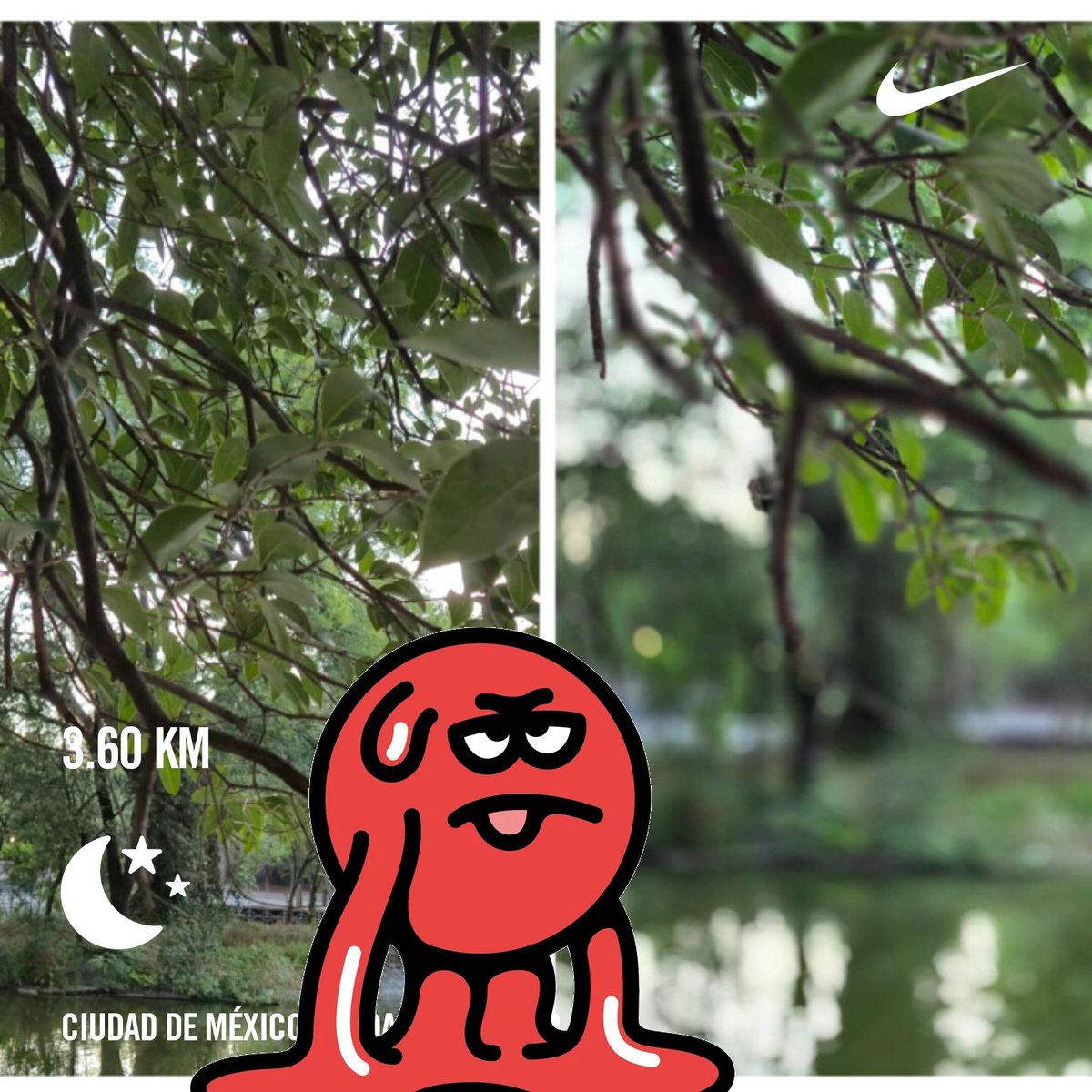 Efren Casas tweet media