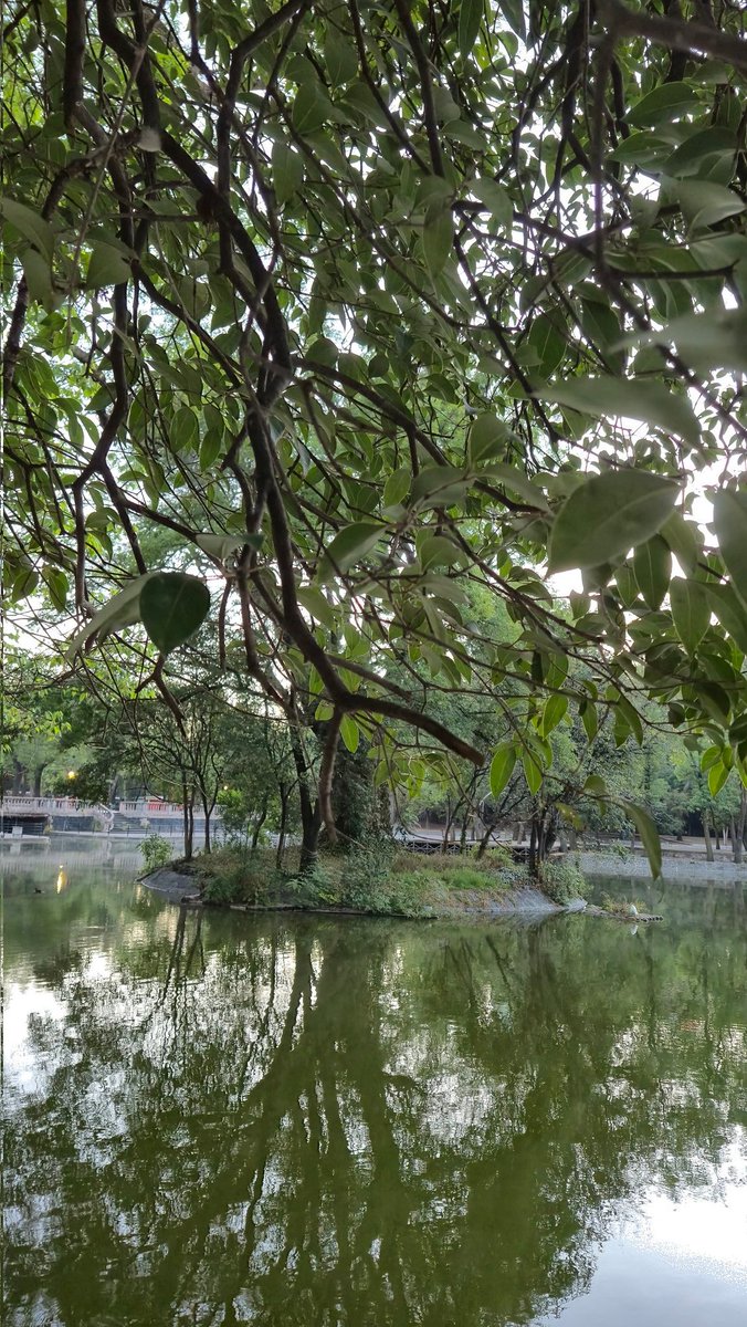 Efren Casas tweet media