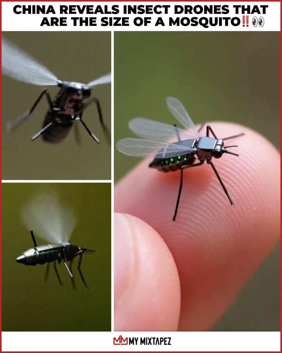 Jude ⚜️Geaux Tigers⚜️Trahan tweet media