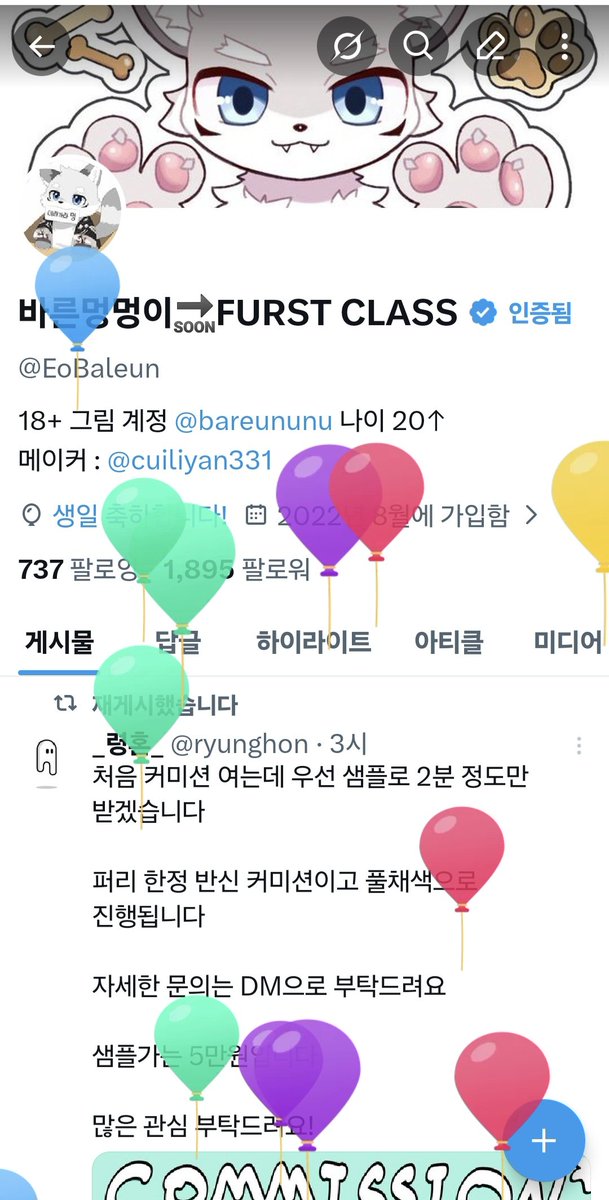 바른멍멍이🔜FURST CLASS tweet media