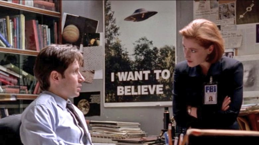 Fern Delavan tweet media