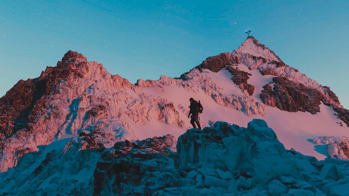 Disco 🌿🔦 tweet media